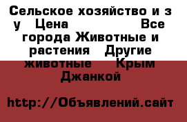 Сельское хозяйство и з/у › Цена ­ 2 500 000 - Все города Животные и растения » Другие животные   . Крым,Джанкой